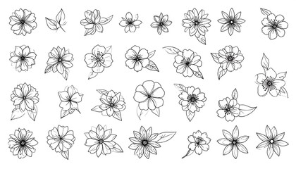 Collection of black line art flowers