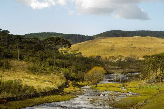 Cen&aacute;rio buc&oacute;lico com rio, cavalo e arauc&aacute;rias na paisagem rural da serra catarinense