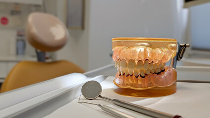 Close-up of dental model with upper and lower jaw in bright dentist office. Professional tool for patient education, oral care explanation and dental treatment planning.