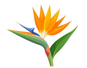 Vibrant bird of paradise flower illustration (1)