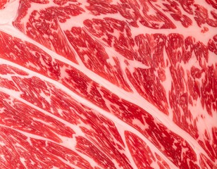 Close-up view of raw wagyu beef