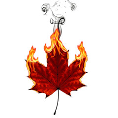 Maple leaf burning with fire and smoke isolated on white background 