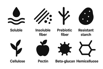 Dietary Fiber Icons. Solid, filled icon set of dietary fiber types: soluble fiber, insoluble fiber, prebiotic fiber, resistant starch, cellulose, pectin,