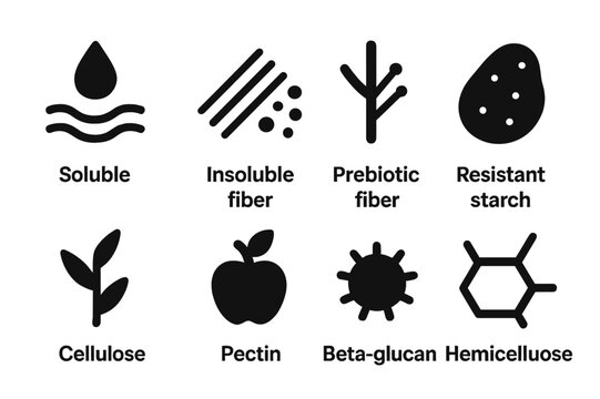 Dietary Fiber Icons. Solid, filled icon set of dietary fiber types: soluble fiber, insoluble fiber, prebiotic fiber, resistant starch, cellulose, pectin,
