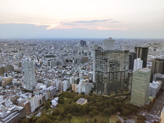 Obraz premium 夕暮れの柔らかい光が残る広大な都市の街並みを高層ビル群の上空から見下ろした風景写真中心の公園の緑が都会の密集した建築群の中で際立つ