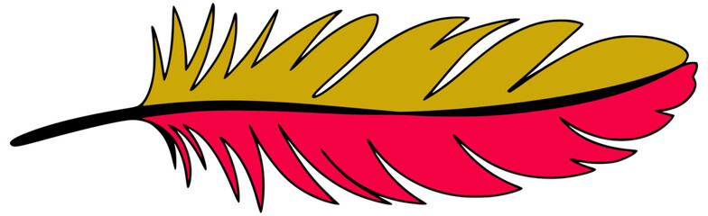 Golden pink feather with black outline quill