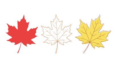 Three maple leaves one red solid one outline one yellow with outline maple leaf autumn
