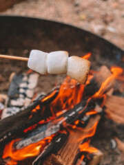 roasting marshmallows 