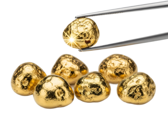Shiny natural gold nuggets isolated on white background, raw precious metal stones held by tweezers, symbol of wealth, investment, mining, and luxury value