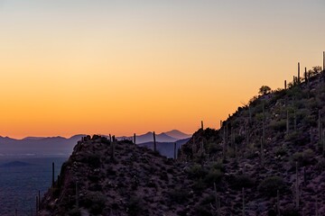 Sunset over the mountains at the Sonora Desert with some Saguaro Cactus