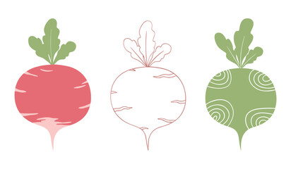 Three stylized radishes in red green and outline on white background beet root vegetable