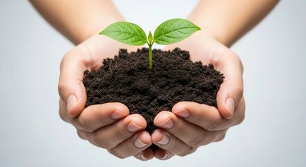 Nurturing new growth begins with hope, a new sprout emerges from rich soil held gently in caring hands, symbolizing sustainability, environmental awareness, and a vibrant future