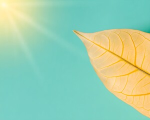 Bright Yellow Leaf Close-Up Against Turquoise Sky Background with Sunlight