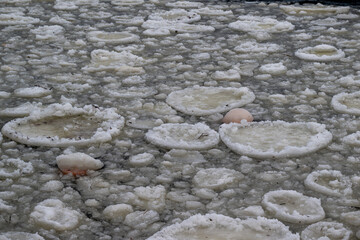 A large ice surface with odd-shaped cracks or frazil ice in a harbor. The cold winter temperatures have formed pan-shaped formations, rotational shears, or ice discs. The joins are crystal frost spots