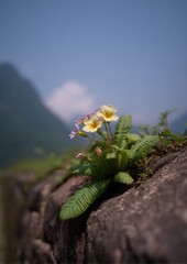 Delicate wildflowers bloom against a backdrop of mountains, showcasing a vibrant display of nature's beauty.
