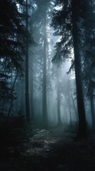 Fototapeta premium Mystical Forest - Atmospheric Fog and Sunlight Piercing Through Tall Trees.