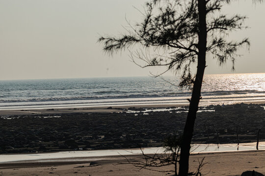 Scenic sea view framed by lone tree silhouette over rocky shore in Bangladesh.