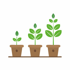 Plant growth stages in flower pots showing a step-by-step process of development and progress