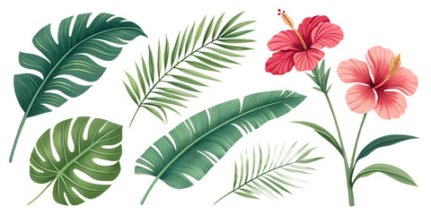 Tropical Plants PNG Set &ndash; Palm Leaves, Hibiscus, Banana Leaves &ndash; Individually Isolated and Separated on Transparent Background