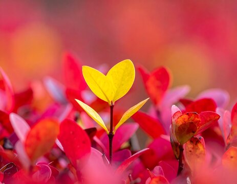 Vibrant yellow leaves amidst autumn foliage - Powered by Adobe