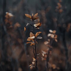 Dry brown leaves on a small plant branch in autumn