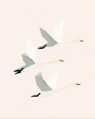 Obraz premium Three white swans flying together in a minimal flat illustration style