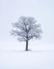 Snowy tree in a vast, icy plain