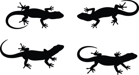 Silhouette of lizards in different poses, black reptile vector illustration, gecko crawling design, exotic animal outline graphic, isolated wildlife artwork