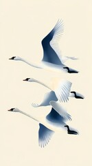 Obraz premium Three white swans flying together minimal flat art for phone wallpaper