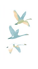 Obraz premium Three white swans flying together minimal flat art for phone wallpaper