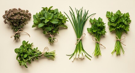 Obraz premium Fresh herbs tied in bundles