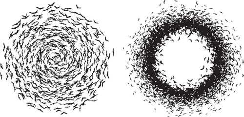 Two Swarms of Flying Bat Silhouettes in Spiral and Circular Formations on a White Background
