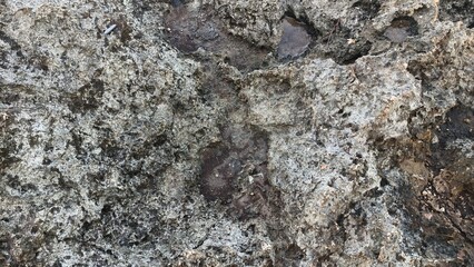 Naklejka premium Close-up of weathered rock surface with intricate textures and tones