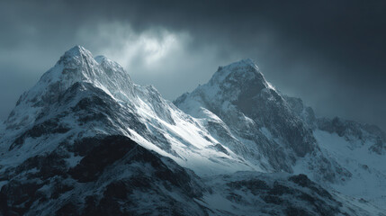 Set of popular winter trees with bare branches detailed texture on transparent background