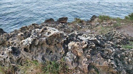 Rocky Coastline with Ocean View