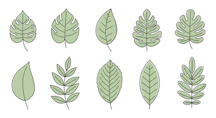 Minimalist Green Leaf Vector Collection