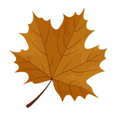 Autumnal Illustration of a Brown Maple Leaf