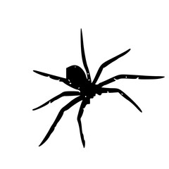 creepy crawly spider icon