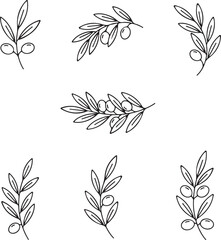 Fototapeta premium Olive Branch Illustrations: Artistic line drawings of olive branches in elegant, minimalist style, perfect for conveying peace, purity and natural beauty.