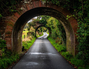 Serene Road Through Brick Arches - Lush Greenery and Atmospheric Perspective.