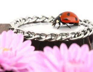 Ladybug on a chain, surrounded by flowers
