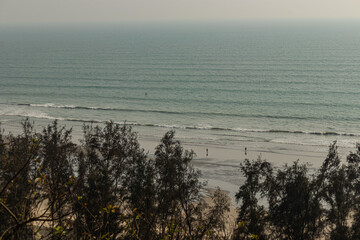 Coastal forest greenery on hillside with panoramic view of Cox’s Bazar Bangladesh beach and ocean background.