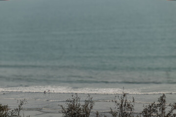 Golden sands meet lush green trees along the coastline of Cox’s Bazar, Bangladesh, offering a perfect tropical getaway.