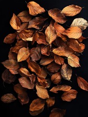 Close-up view of a pile of dry brown autumn leaves scattered against a dark black background conveying the fall season and natural decay