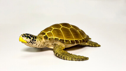 Turtle figurine on white background