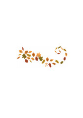 Fototapeta premium elements_swirls_autumn_leaves.ai