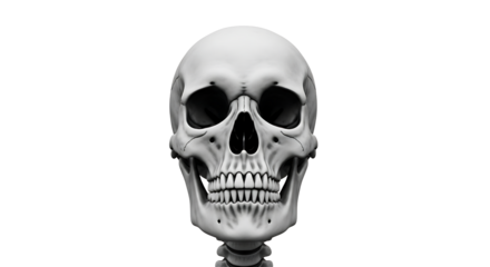 Anatomically Accurate Skeleton Head with Prominent Teeth and Empty Eyes, Perfect for Halloween Designs on Transparent Background PNG

