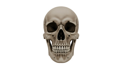 Detailed 3D Render of a Grinning Skull with No Lower Jaw, a Classic Macabre Graphic on Transparent Background PNG

