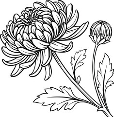 Chrysanthemum Silhouette Design with Natural Botanical Elements