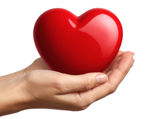 Gentle Hands Holding a Shiny Red Heart Isolated on Transparent Background